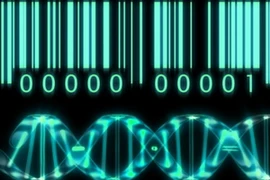 Việt Nam phân tích thành công hệ gen của một gia đình người Việt 