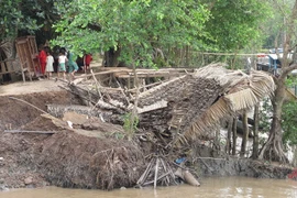 Ảnh minh họa. (Nguồn: TTXVN)