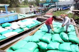 Tạm trữ là biện pháp cần thiết để điều tiết thị trường lúa gạo