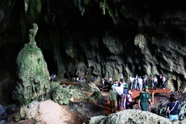 Trên 15.000 lượt du khách đến Phong Nha-Kẻ Bàng trong dịp Tết