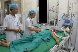 Hà Giang báo động tình trạng tử vong do ăn bột ngô mốc và nấm độc 