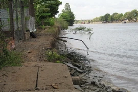 Sạt lở đê bao ven kênh Chợ Gạo gây nguy hiểm cho hàng chục hộ dân