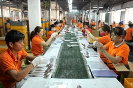 Công nhân Tập đoàn Sunny Hàn Quốc làm việc trong Khu chế xuất Linh Trung, Thủ Đức, TP Hồ Chí Minh. (Ảnh: Thanh Vũ/TTXVN)