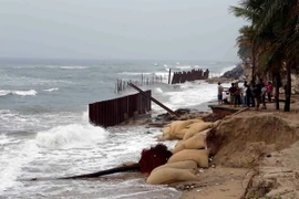 Trà Vinh khẩn trương khắc phục tình trạng sạt lở các đoạn đê biển