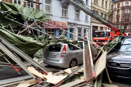 Bão Niklas làm tê liệt hệ thống giao thông tại nhiều bang ở Đức 