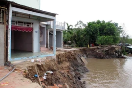 Ảnh minh họa. (Nguồn: TTXVN)