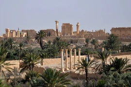 Thành phố cổ Palmyra của Syria ngày 18/5 sau một vụ đánh bom do IS tiến hành. (Nguồn:AFP/TTXVN)