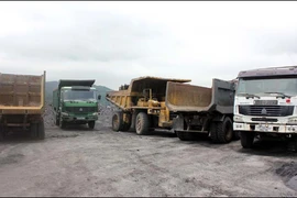 Tái diễn vấn nạn khai thác than trái phép tại thành phố Hạ Long
