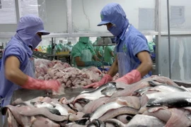 Cần Thơ phấn đấu đạt kim ngạch xuất khẩu 1,45 tỷ USD năm 2015 