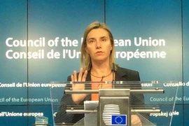 EU nỗ lực thúc đẩy tiến trình bình thường hóa quan hệ với Cuba