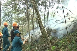 Nhiều khu rừng ở Sa Pa đang ở cấp độ báo cháy cực kỳ nguy hiểm