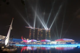 [Photo] Rực rỡ pháo hoa và ánh sáng chào đón Năm mới ở Singapore