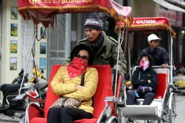 (Ảnh: Nhật Anh/TTXVN)