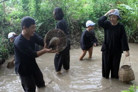 Cần Thơ phát triển nhiều sản phẩm du lịch mới hấp dẫn du khách