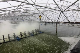 Khu nuôi tôm công nghiệp của Công ty TNHH Thương mại Trúc Anh tại Bạc Liêu. (Ảnh: Vũ Sinh/TTXVN)