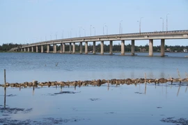 Những cây cầu làm thay đổi diện mạo vùng quê ven phá Tam Giang