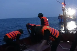 Ảnh minh họa. (Nguồn: TTXVN)