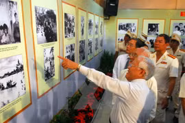 (Ảnh minh họa: Mạnh Linh/TTXVN)