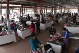 Ảnh minh họa. (Nguồn: TTXVN)