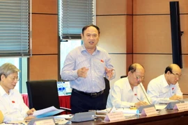 Đại biểu Quốc hội tỉnh Kiên Giang Bùi Đặng Dũng phát biểu ý kiến. (Ảnh: An Đăng/TTXVN)