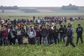 Người di cư chờ xe buýt khi vượt qua biên giới từ Serbia, gần cửa khẩu Tovarnik để vào Croatia ngày 25/9. (Nguồn: Reuters/TTXVN)