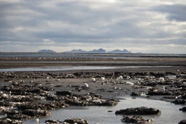 Nước lụt do tan băng trên sông Markarflj, phía tây Eyjafjallajokull của Island. (Nguồn: AFP/TTXVN)