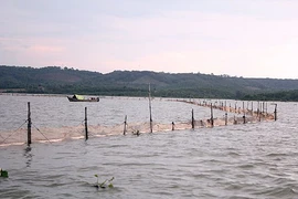 Người dân tự tháo dỡ đăng chắn đặt trái phép trên hồ Trị An 