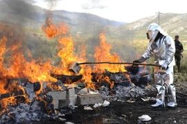 Hải quan Pháp thu giữ hơn 2 tấn cocaine trên vùng biển Caribe