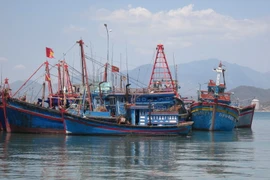 Ảnh minh họa. (Nguồn: TTXVN)