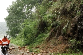 Ảnh minh họa. (Nguồn: TTXVN)