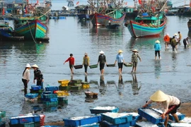 Ảnh minh họa. (Nguồn: TTXVN)