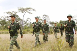 Các chiến sỹ trinh sát Đồn Biên phòng Ea H'leo (745), Đắk Lắk tuần tra khu vực vành đai biên giới. (Ảnh: Dương Giang/TTXVN)
