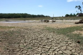 Hỗ trợ gần 118 tỷ đồng khắc phục hậu quả hạn hán vụ Hè Thu 2014