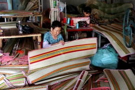 Long An bảo tồn nghề dệt chiếu lác - di sản phi vật thể quốc gia