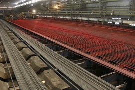 Dự án Gang thép Thái Nguyên tiếp tục triển khai giai đoạn 2 