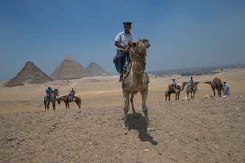Cảnh sát Ai Cập tuần tra tại khu vực gần Kim tự tháp Giza. (Nguồn: THX/TTXVN)