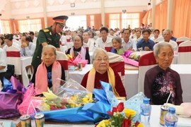 Ảnh minh họa. (Nguồn: TTXVN)