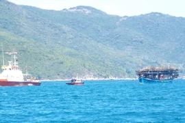 Ảnh minh họa. (Nguồn: TTXVN)