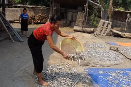 Cuộc sống của người dân tái định cư thủy điện Sơn La ở xã Mường Giàng, huyện Quỳnh Nhai, tỉnh Sơn La. (Ảnh: Công Luật/TTXVN) 