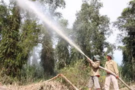 Cà Mau tạm đóng cửa rừng tràm U Minh Hạ đề phòng cháy rừng