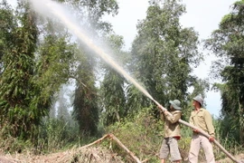 Cà Mau tạm đóng cửa rừng tràm U Minh Hạ đề phòng cháy rừng