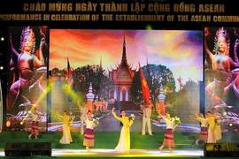 Một tiết mục nghệ thuật trong buổi biểu diễn (Ảnh: An Hiếu/TTXVN) 