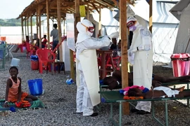 Nhân viên y tế Sierra Leone chăm sóc bệnh nhân nhiễm Ebola tại trung tâm Kenama. (Nguồn: AFP/TTXVN)