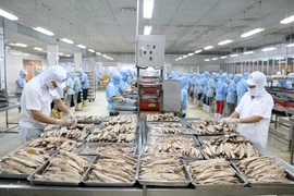 Sản xuất chế biến cá đóng hộp xuất khẩu tại nhà máy KTCFOOD, Kiên Giang. (Ảnh: Lê Huy Hải/TTXVN)