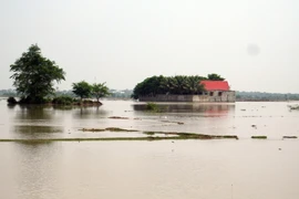 Vùng tâm hạn Thuận Nam ngập trong biển nước. (Ảnh: Công Thử/TTXVN)