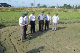 Lãnh đạo tỉnh Nghệ An kiểm tra công tác chống hạn tại huyện Nam Đàn. (Ảnh: Nguyễn Văn Nhật/Vietnam+)