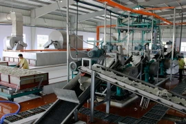 Sẽ có sàn giao dịch cho các nước sản xuất cao su Đông Nam Á