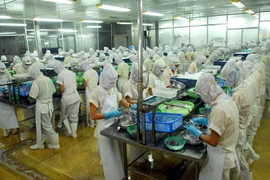 Thủ tướng quyết định lập Ban Quản lý Khu kinh tế tỉnh Hà Tĩnh