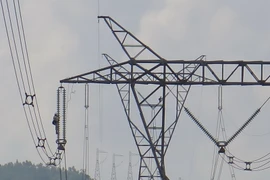 (Ảnh: Văn Sơn/TTXVN)