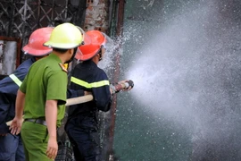 Ảnh minh họa. (Nguồn: TTXVN)